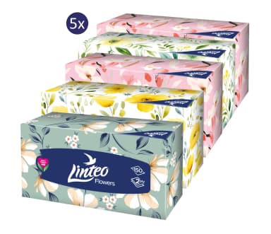 Hygienické kapesníčky Linteo Flowers 2vrstvé, 150 ks