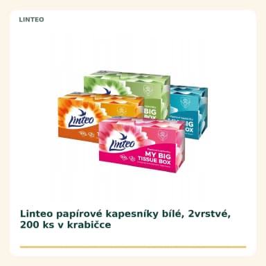 Linteo papírové kapesníky bílé, 2vrstvé, 200 ks v krabičce