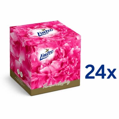 24x Linteo papírové kapesníčky v boxu 3-vrstvé 60 ks