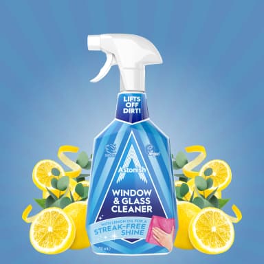 Astonish Window & Glass čistič oken a skla, 750 ml